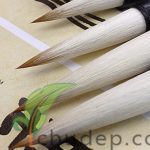 Quy trình cách viết chữ thư pháp đẹp