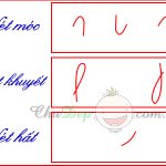 những nét cơ bản trong tiếng việt