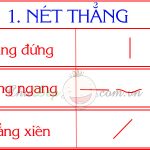 những nét cơ bản trong tiếng việt