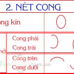 những nét cơ bản trong tiếng việt