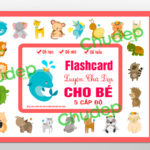Luyện Chữ Đẹp 5 Cấp Độ Rất Dễ Học flashcard-luyen-chu-dep-5-cap-do