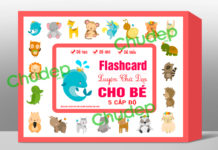 Luyện Chữ Đẹp 5 Cấp Độ Rất Dễ Học flashcard-luyen-chu-dep-5-cap-do